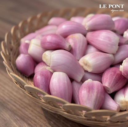 【LE PONT 樂朋】黄金鵝油香蔥 エシャロットコンフィ 2026限定版 310g